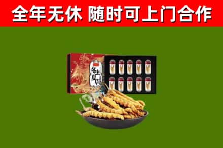 华蓥回收冬虫夏草价格